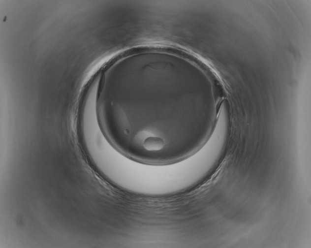 X0000115201319200911121834