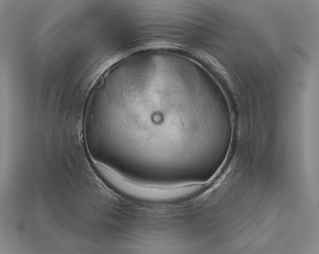 X0000115201321200911121834