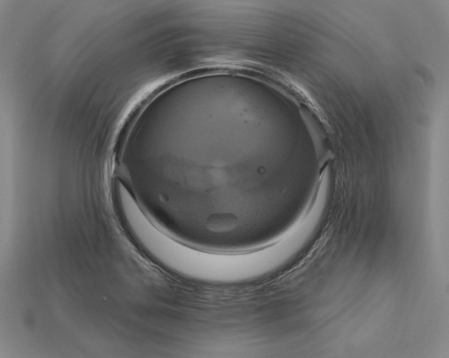 X0000115201323200911121834