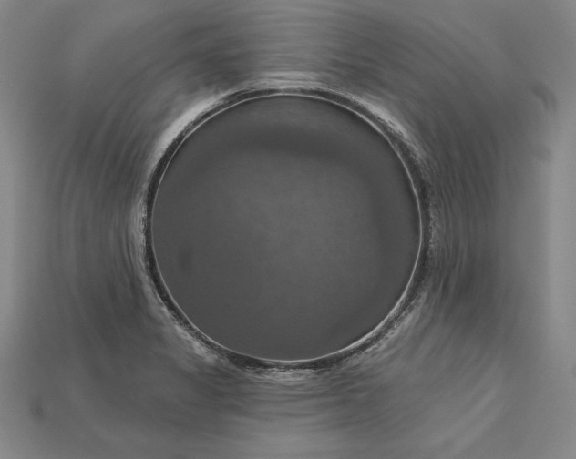 X0000115201325200911121834