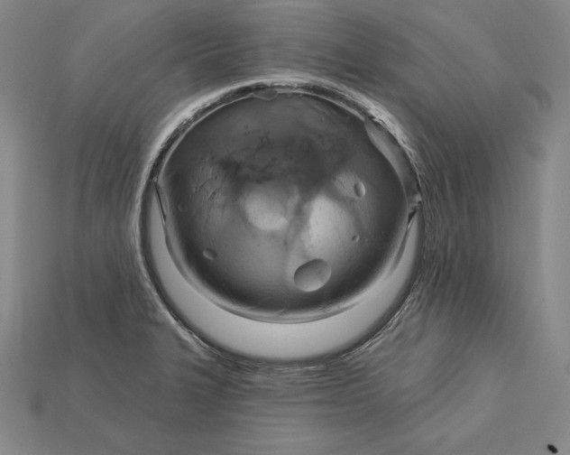X0000115201327200911121834