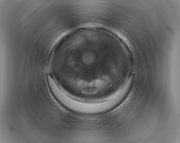 X0000115201329200911121834