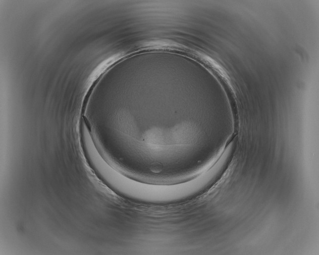 X0000115201330200911121834