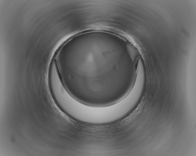 X0000115201331200911121834