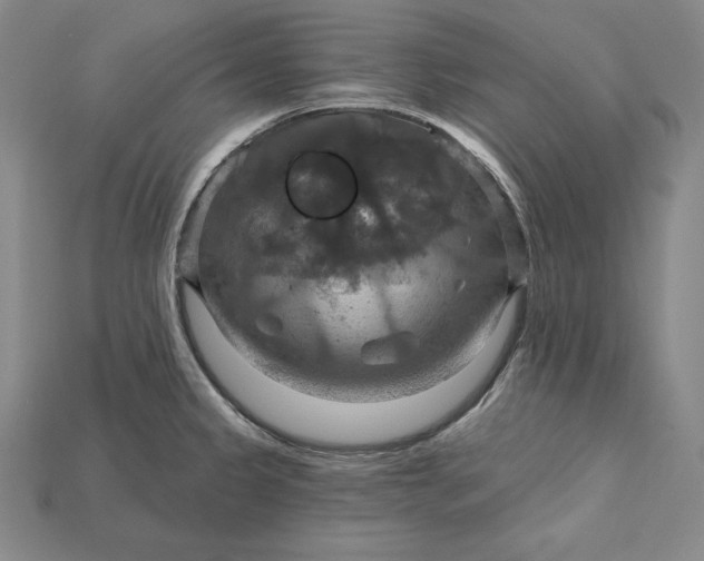 X0000115201333200911121834