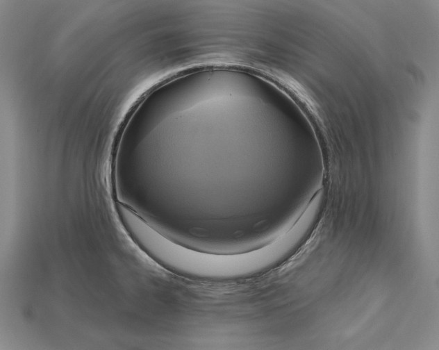 X0000115201334200911121834