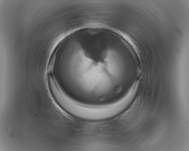 X0000115201335200911121834