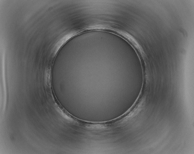 X0000115201337200911121834
