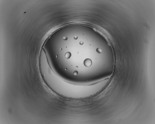 X0000115201338200911121834