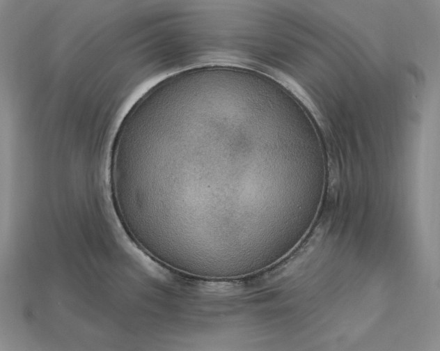 X0000115201339200911121834