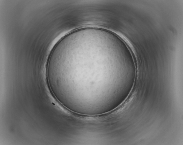 X0000115201341200911121834