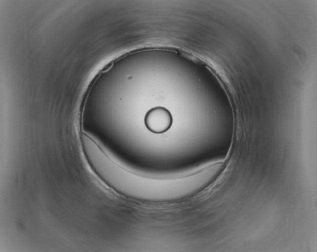 X0000115201342200911121834