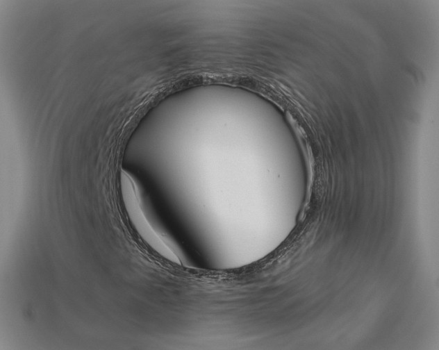 X0000115201345200911121833