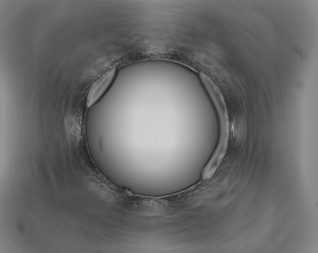 X0000115201348200911121833