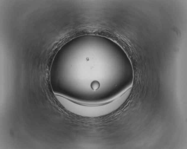 X0000115201349200911121833