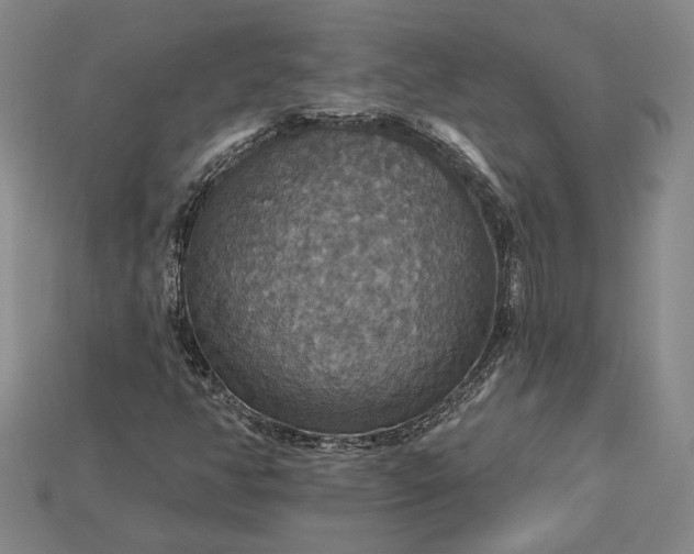 X0000115201350200911121833