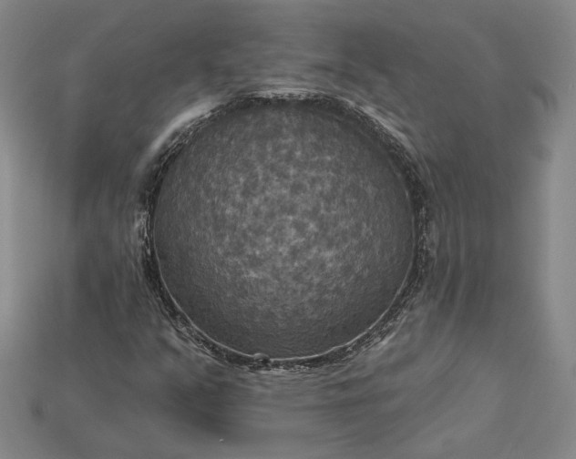 X0000115201351200911121833