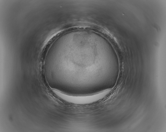 X0000115201352200911121833