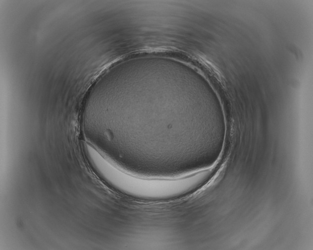 X0000115201353200911121833