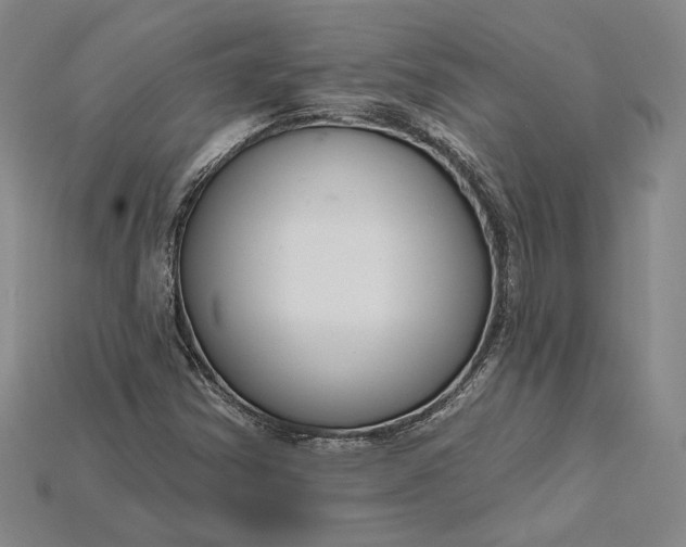 X0000115201354200911121833