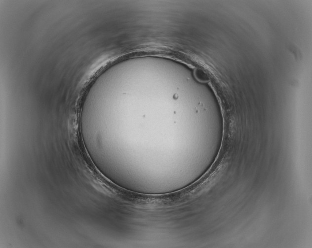 X0000115201355200911121833