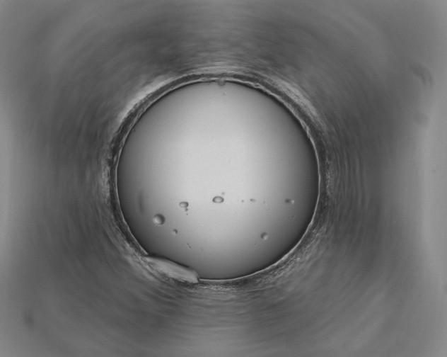 X0000115201356200911121833