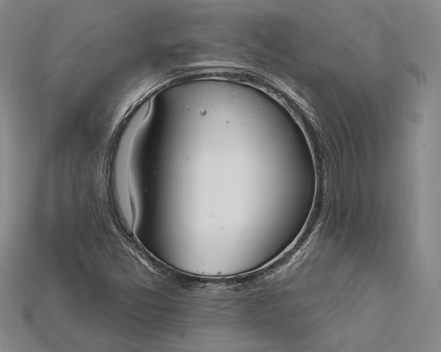 X0000115201357200911121833
