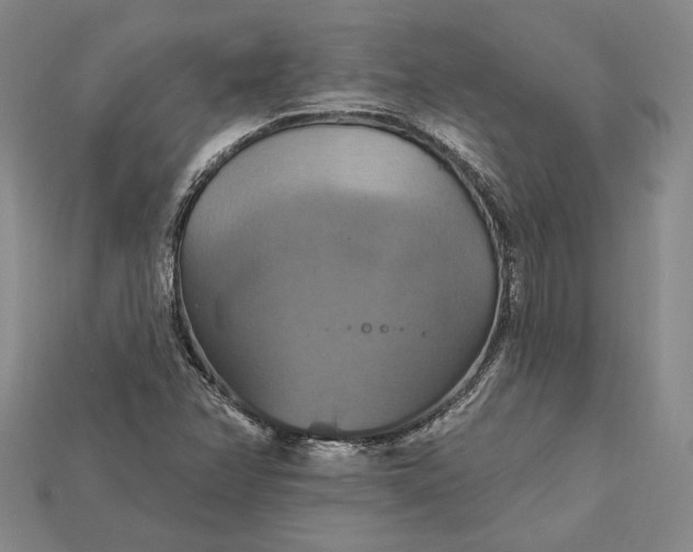 X0000115201358200911121833