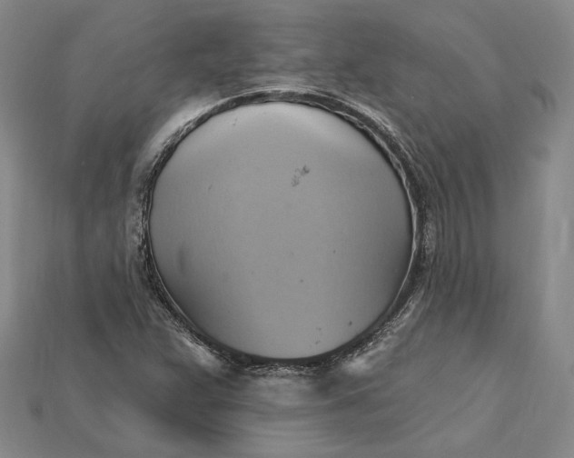 X0000115201359200911121833