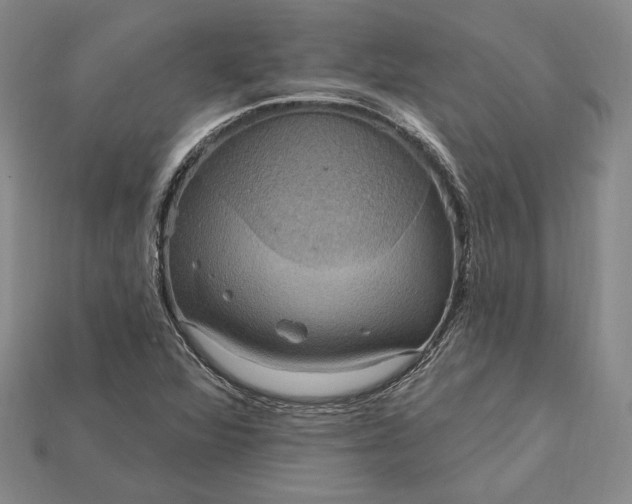 X0000115201360200911121833