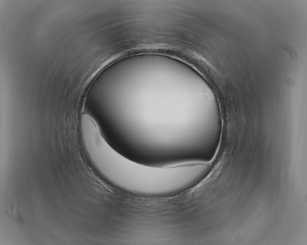X0000115201361200911121833
