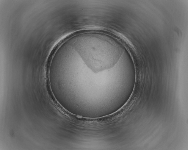 X0000115201364200911121833