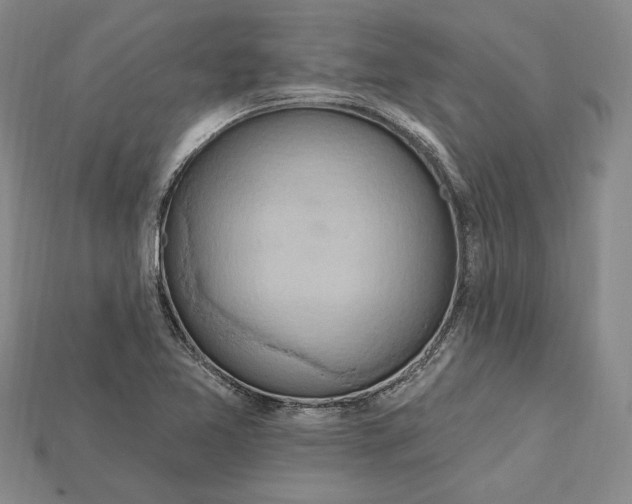 X0000115201365200911121833