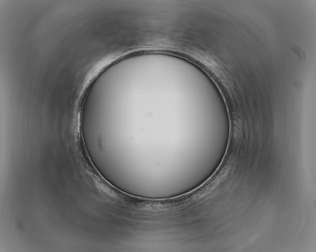 X0000115201366200911121833