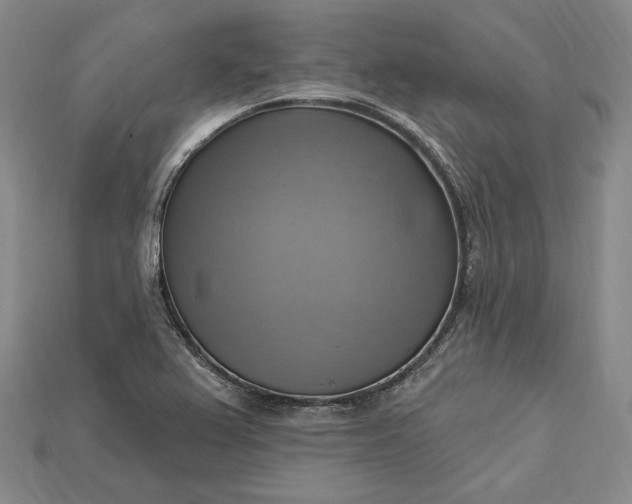 X0000115201367200911121833