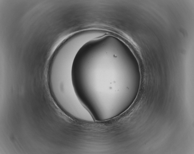 X0000115201368200911121833