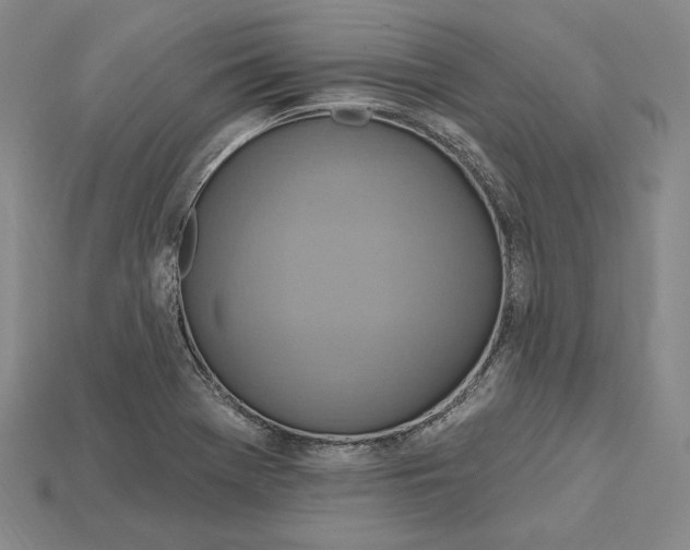 X0000115201369200911121833