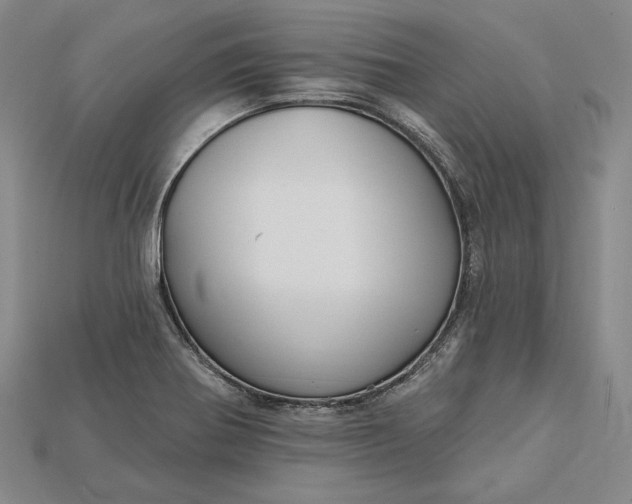 X0000115201370200911121833