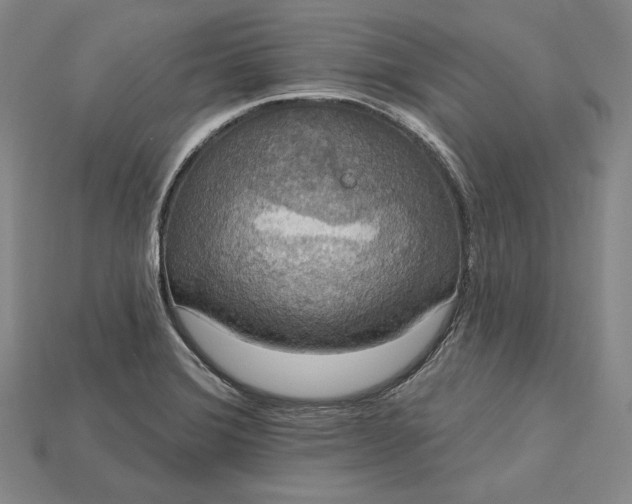 X0000115201372200911121833