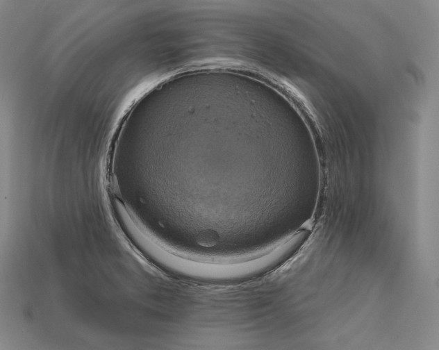 X0000115201373200911121833