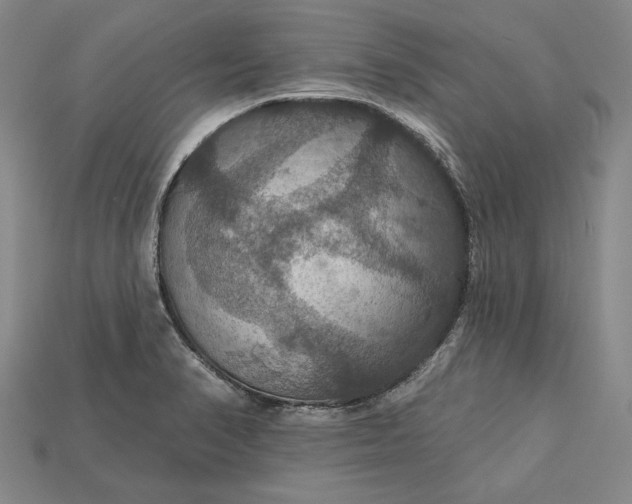 X0000115201374200911121833