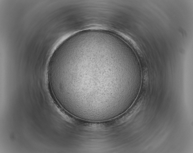 X0000115201375200911121833