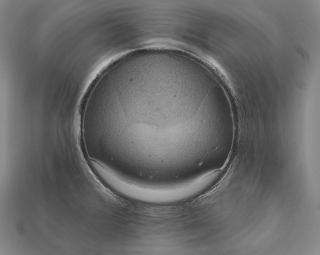 X0000115201376200911121833