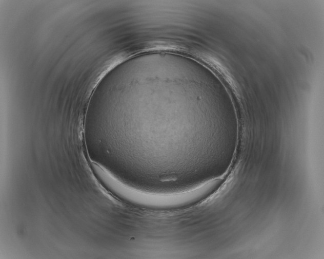 X0000115201377200911121833