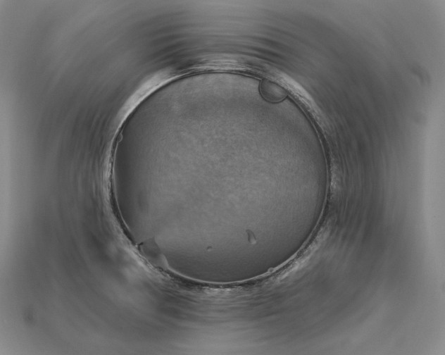 X0000115201378200911121833