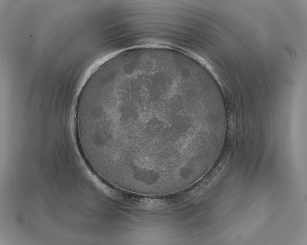 X0000115201379200911121833