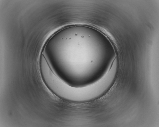 X0000115201380200911121833
