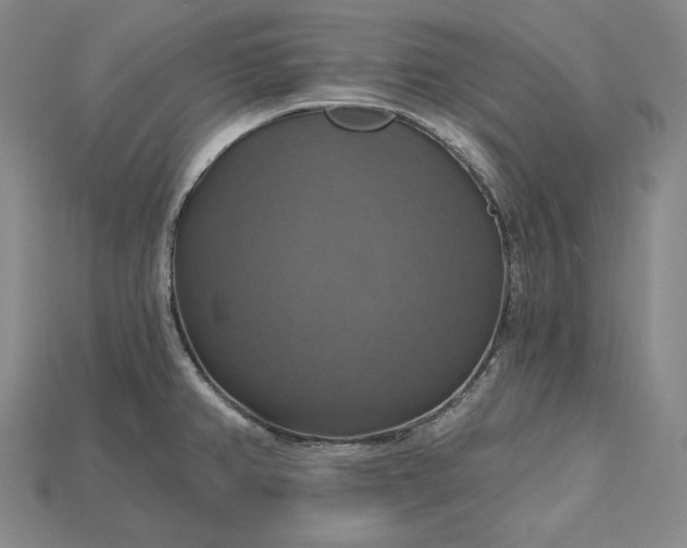 X0000115201382200911121833