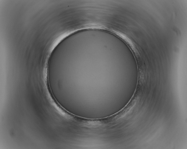 X0000115201383200911121833