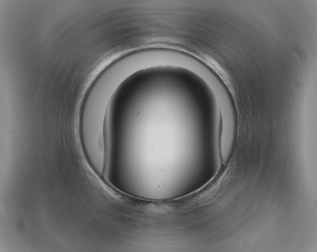 X0000115201384200911121833